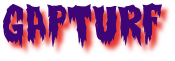 gapturf